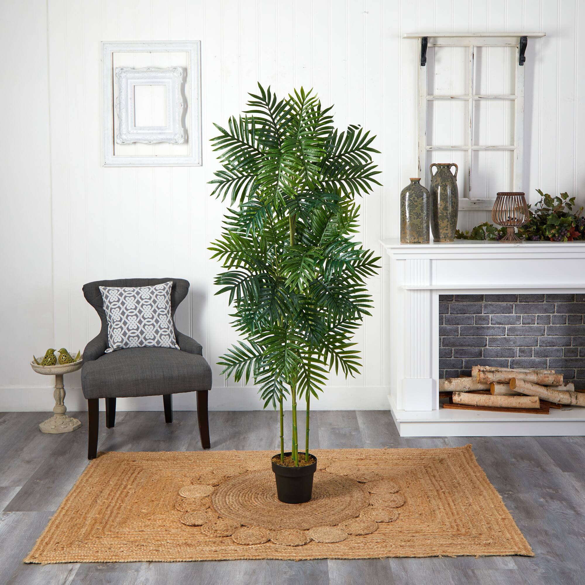 6ft. Potted Phoenix Palm Tree